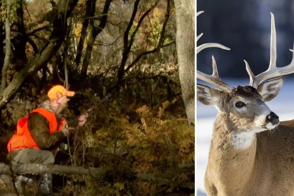 Major New Blaze Orange Requirement For 2023 Minnesota Deer Hunting Season