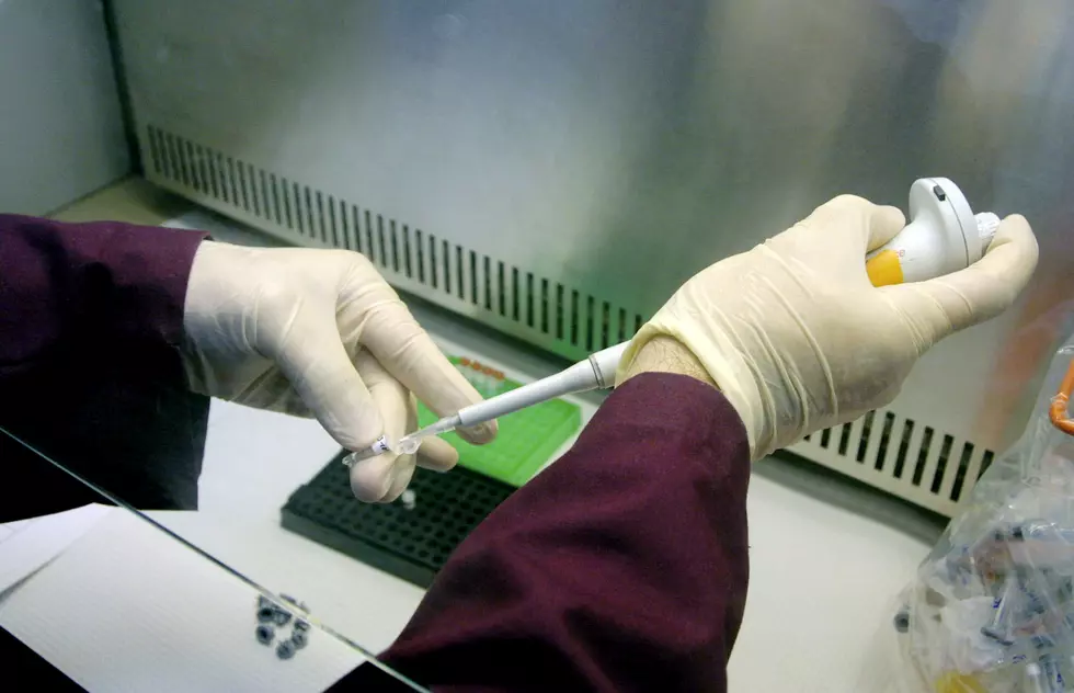 Mayo Clinic Is Seeking Volunteers For COVID-19 Vaccine Trials