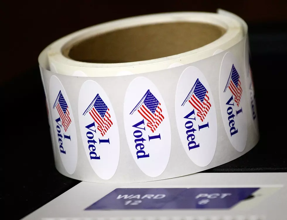 Minnesota Online Voting Tracking Tool Temporarily Knocked Down