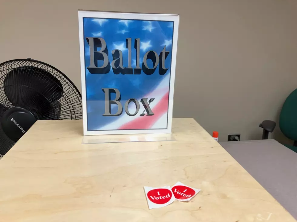 Rochester Mayor, Two Councilmembers Facing Election Challenges