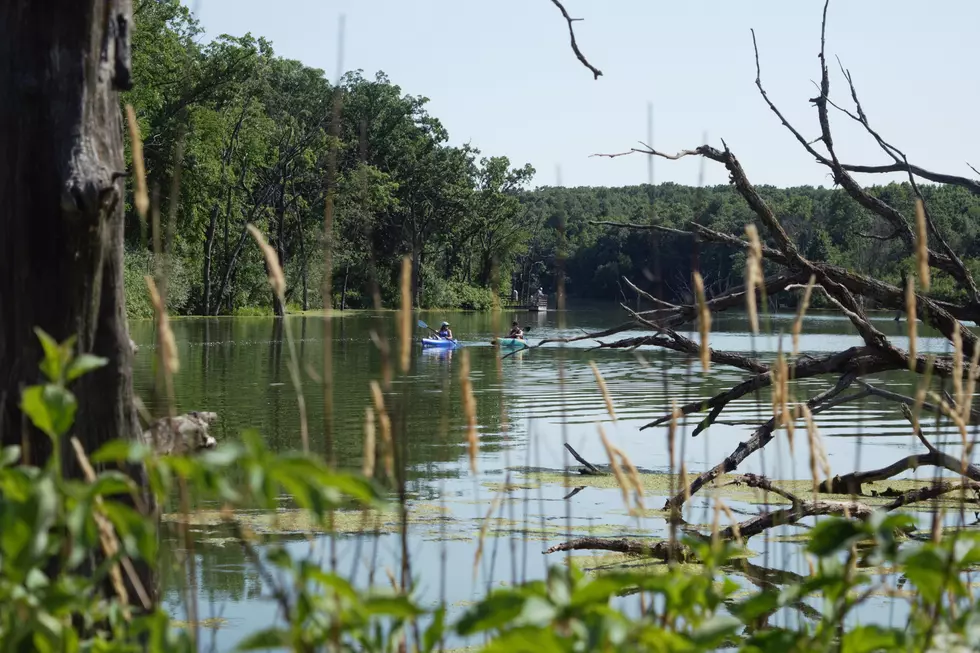 Window Smashed, Purse Stolen from Parked Vehicle at Olmsted County Park