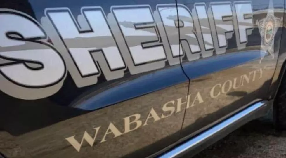 Wabasha County Sheriff's Office photo