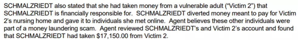 Schmalzriedt complaint. Wabasha County Court
