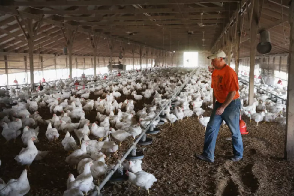 Low-Interest Loans Available for Minnesota Ranchers