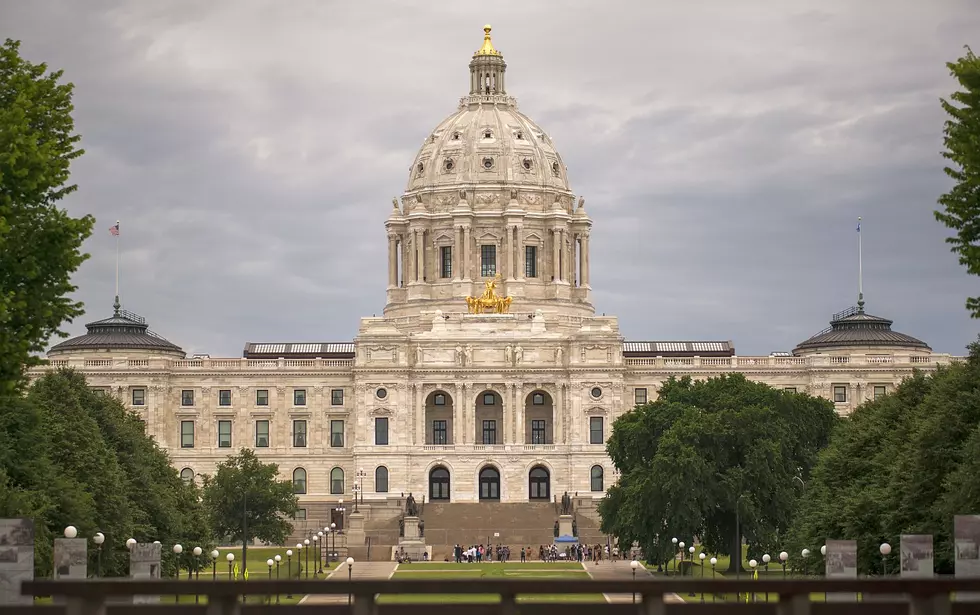 Minnnesota House Democrats Advance Two Gun Control Measures