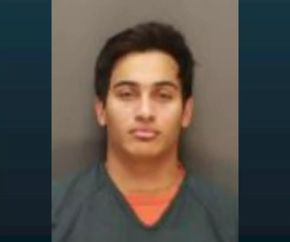 UPDATE: 1 Dead, 1 Arrested in Howard Lake Shooting